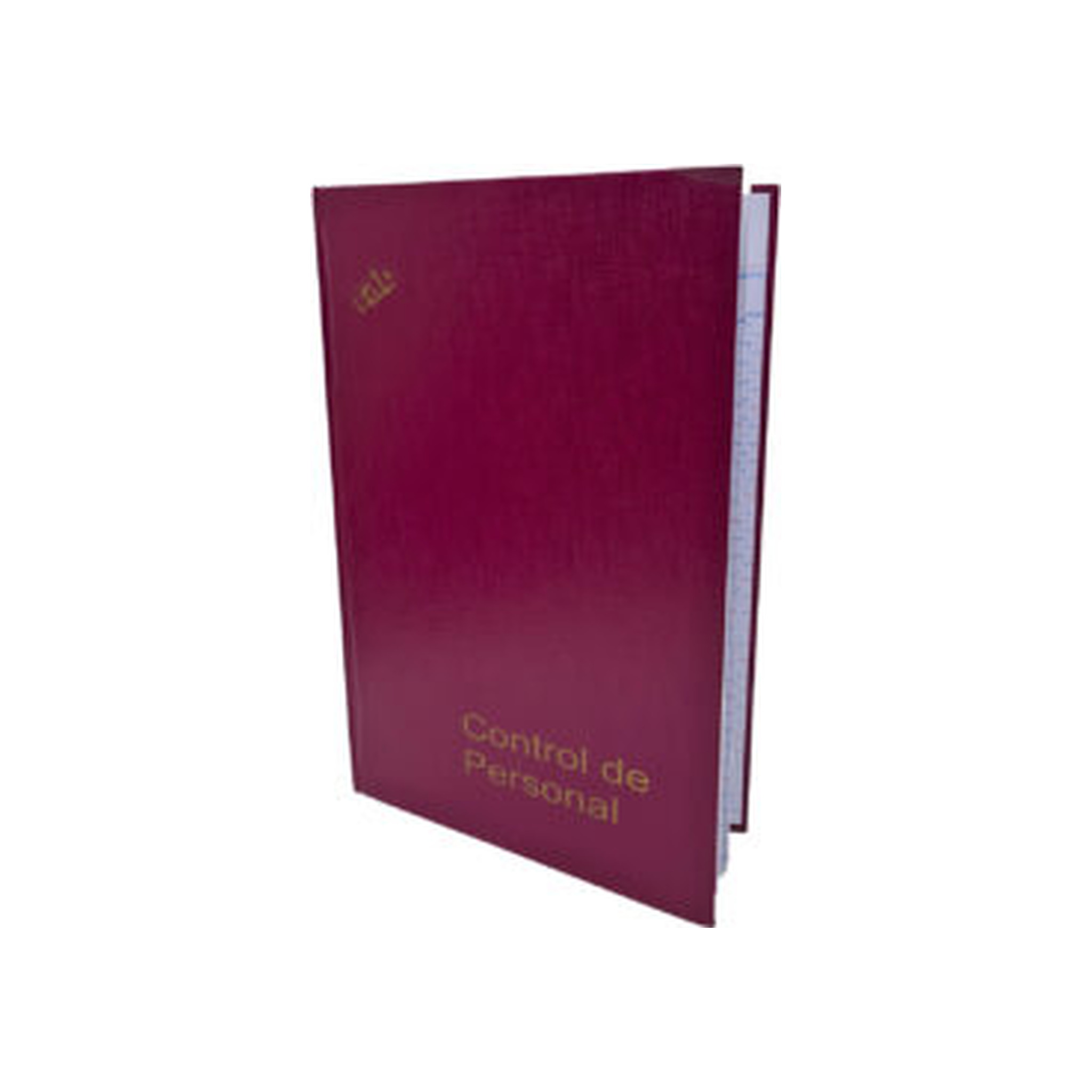 LIBRO SUELDOS 2 MANOS X 99 FOLIOS 40X27 CM.